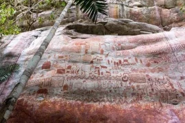 Bức tranh tường bí ẩn phát hiện trong rừng rậm Amazon 