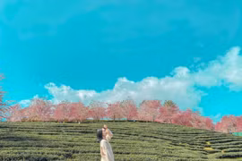 Các điểm du lịch hấp dẫn mới ở Lào Cai