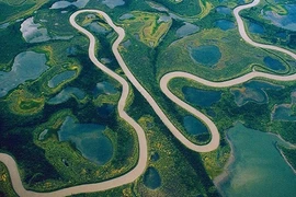 Độ dài thực tế của sông Amazon là bao nhiêu?