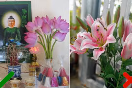 Tháng cô hồn, đặt 6 loại hoa trên bàn thờ để cầu tài lộc 