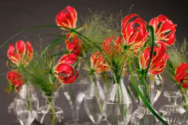 3 loại hoa được ví như “vàng thực vật” 