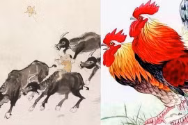 Ba con giáp ra ngoài gặp quý nhân, sẽ có đại hỷ sự 