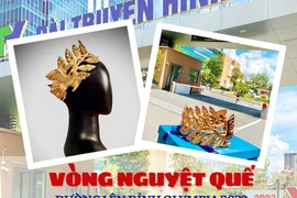 Cận cảnh vòng nguyệt quế Đường Lên Đỉnh Olympia năm 23 