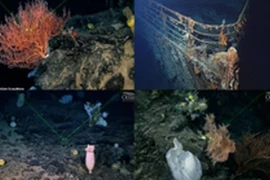 Sự thật về hàng ngàn "hồn ma" cạnh xác tàu Titanic