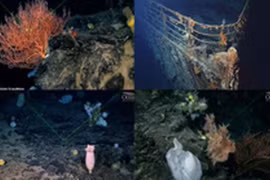 Sự thật về hàng ngàn "hồn ma" cạnh xác tàu Titanic