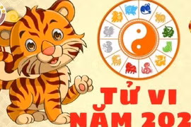 Bộ tứ tai ương nhất năm Quý Mão: 4 tuổi va đâu cũng mất tiền 