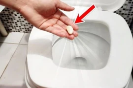 Bỏ tỏi vào bồn cầu ban đêm, giúp công việc dọn nhà nhàn