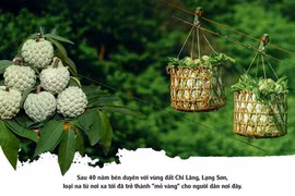 Hành trình hái 'ngọc trên đá' ở ải Chi Lăng