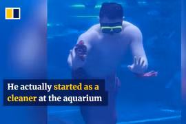  Chàng tiên cá mũm mĩm giữa thủy cung khiến người xem cười ngất