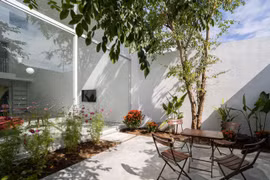 Tận hưởng khí hậu nhiệt đới trong ngôi nhà phố 