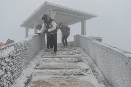 Băng giá trắng xóa trên đỉnh Mẫu Sơn