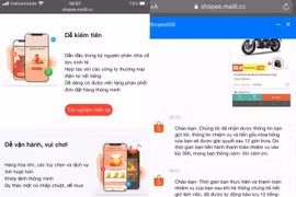Sau ma trận "chốt đơn, nhận lãi", Việt kiều mất trắng 7 tỷ đồng