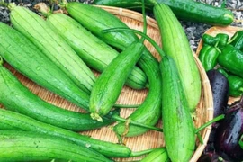 Mua mướp đừng tham quả to, nhìn 4 điểm biết ngay quả nào ngon