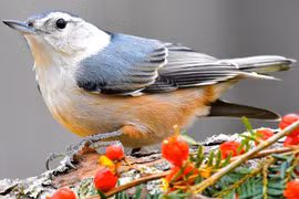 Người sinh ngày Âm lịch này khó khăn chớ nản