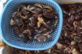 Bán "đặc sản của nhà nghèo" ở thành phố khách đặt tới tấp 