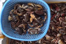 Bán "đặc sản của nhà nghèo" ở thành phố khách đặt tới tấp 