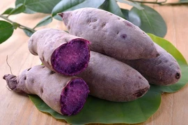 Kinh ngạc lợi ích ít biết của khoai lang tím