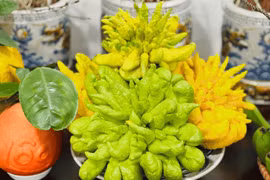 Ý nghĩa khi bày quả phật thủ lên mâm ngũ quả ngày Tết