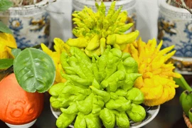 Ý nghĩa khi bày quả phật thủ lên mâm ngũ quả ngày Tết