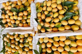 Thanh trà Thái "nhuộm vàng" chợ Việt, giá cao chót vót vẫn hút khách