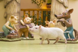 Quán cà phê “ôm lợn chữa lành” gây sốt, khách xếp hàng chờ chỗ