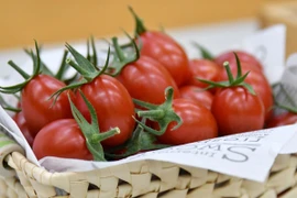 CropLife Châu Á: Công nghệ và cải tiến khoa học thúc đẩy môi trường thực phẩm lành mạnh hơn