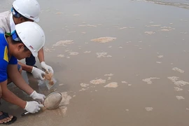 Nước biển ở Huế đổi màu lạ bất thường, nổi bọt đặc sệt