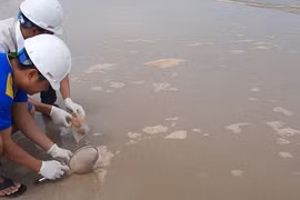 Nước biển ở Huế đổi màu lạ bất thường, nổi bọt đặc sệt