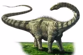 Làm thế nào khủng long lại to lớn như vậy? 