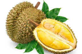 Sầu riêng vườn 200.000 đồng/kg, bay đi TP.HCM gần 20 triệu/vé