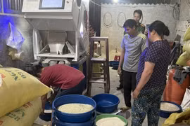 Bất ngờ sự thật về gạo Séng Cù xanh đang gây sốt "chợ mạng"