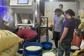 Bất ngờ sự thật về gạo Séng Cù xanh đang gây sốt "chợ mạng"