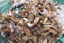 Phát hiện 14 tấn da lợn đông lạnh, ôi thiu