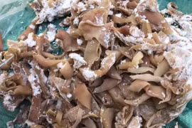 Phát hiện 14 tấn da lợn đông lạnh, ôi thiu