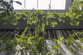 Mái nhà 3 trong 1 thiết kế giúp nhà mát mẻ, chống tiếng ồn