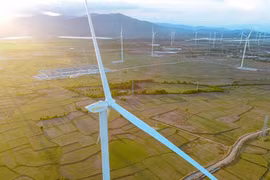 Phát triển năng lượng xanh, xu thế tất yếu của doanh nghiệp