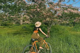 Trốn khói bụi tại Vườn quốc gia Cát Tiên