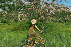 Trốn khói bụi tại Vườn quốc gia Cát Tiên