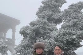 Lạng Sơn xuất hiện băng giá, khẩn trương phòng chống rét