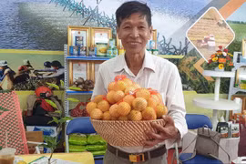 Ông nông dân tỉnh Sóc Trăng trồng chanh leo lạ, ăn ngọt mát