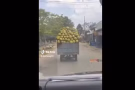 Video: Nghênh ngang giữa đường, xe ba gác nhận kết đắng lòng