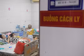 Dịch sốt xuất huyết tại miền Bắc sẽ không lan rộng như miền Nam