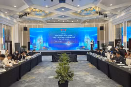 Cần những chính sách thúc đẩy vốn đầu tư phát triển điện khí LNG