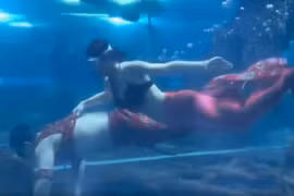 Video: Chàng "tiên cá" nổi tiếng nhất Trung Quốc