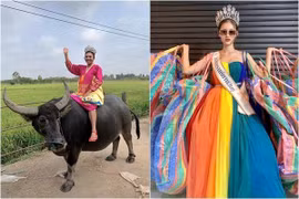 Thí sinh đi xe máy, cưỡi trâu thi Hoa hậu Hòa bình Thái Lan