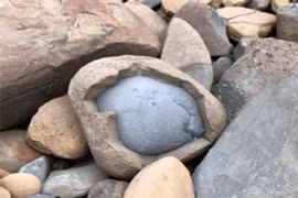 Những bức ảnh độc lạ của tự nhiên, không xem phí một đời