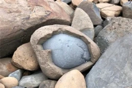 Những bức ảnh độc lạ của tự nhiên, không xem phí một đời