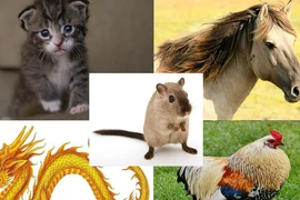 5 con giáp phạm Thái Tuế năm 2023: Cách hóa giải để bình an