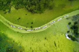 Chiêm ngưỡng bức tranh phong cảnh “cẩm thạch” Trà Sư