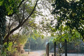 Đường về quê dịp Tết không xa mà nỗi nhớ tràn đầy